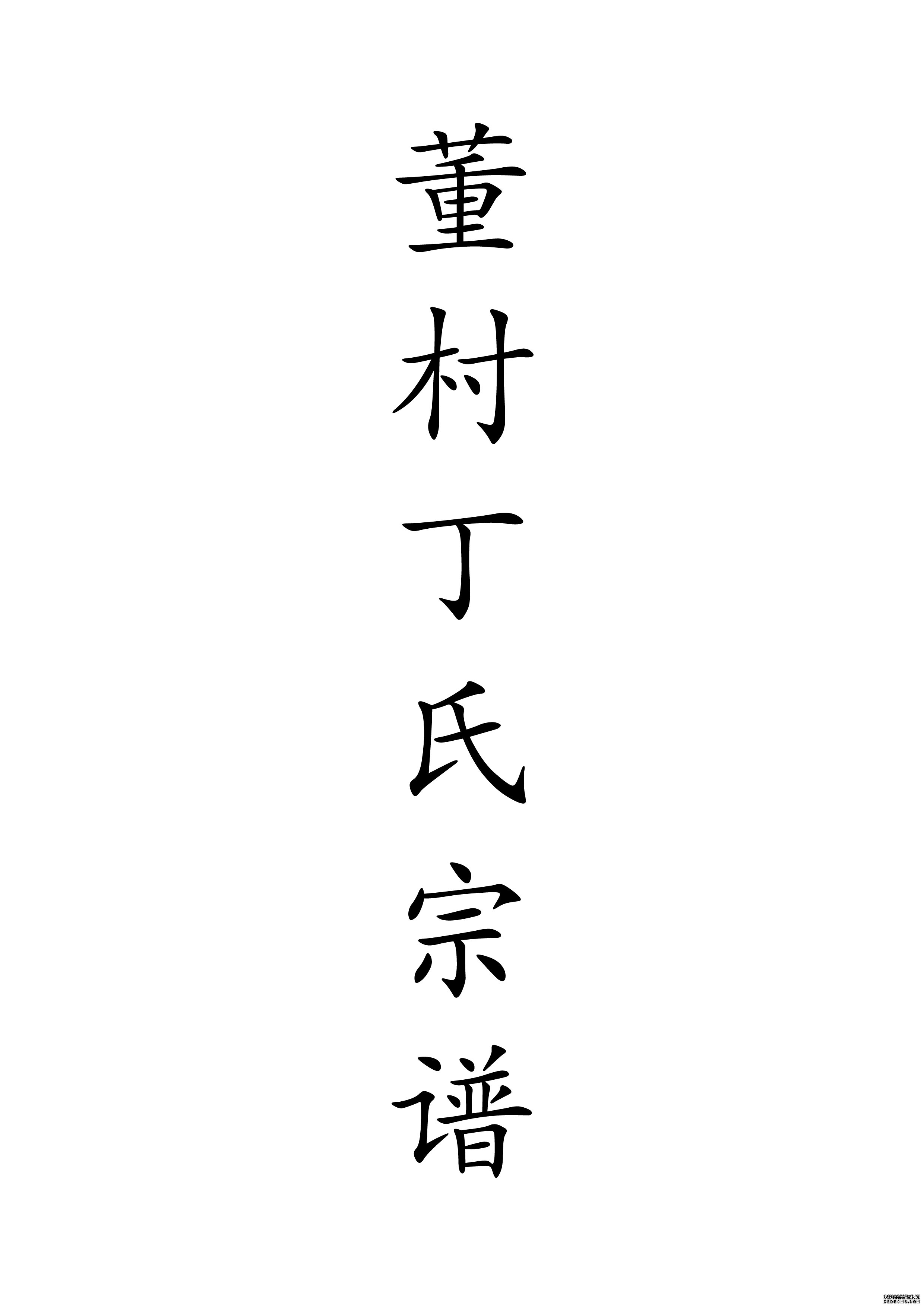 T-0005董村丁氏宗谱