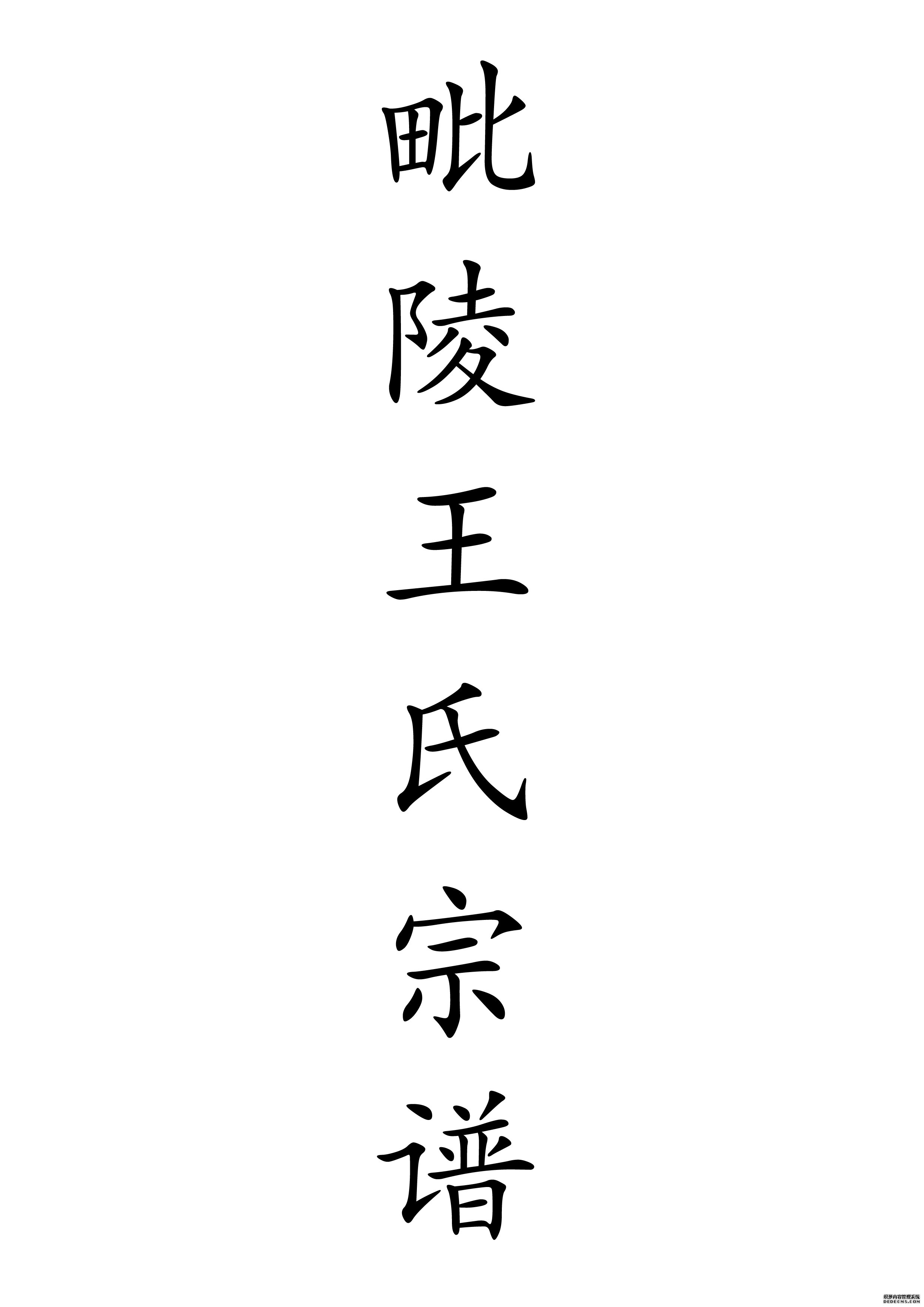 T-0024毗陵王氏宗谱