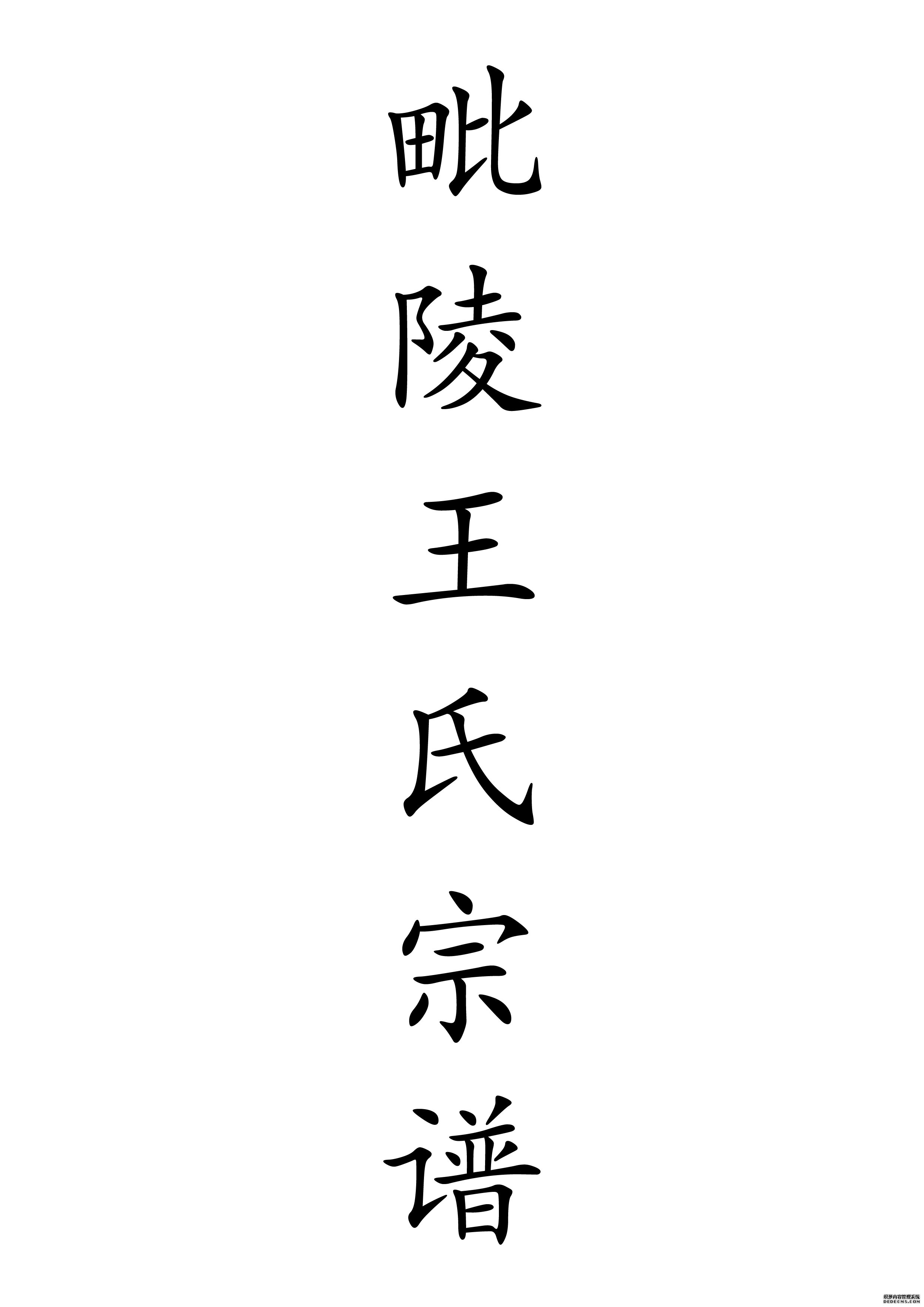 T-0029毗陵王氏宗谱