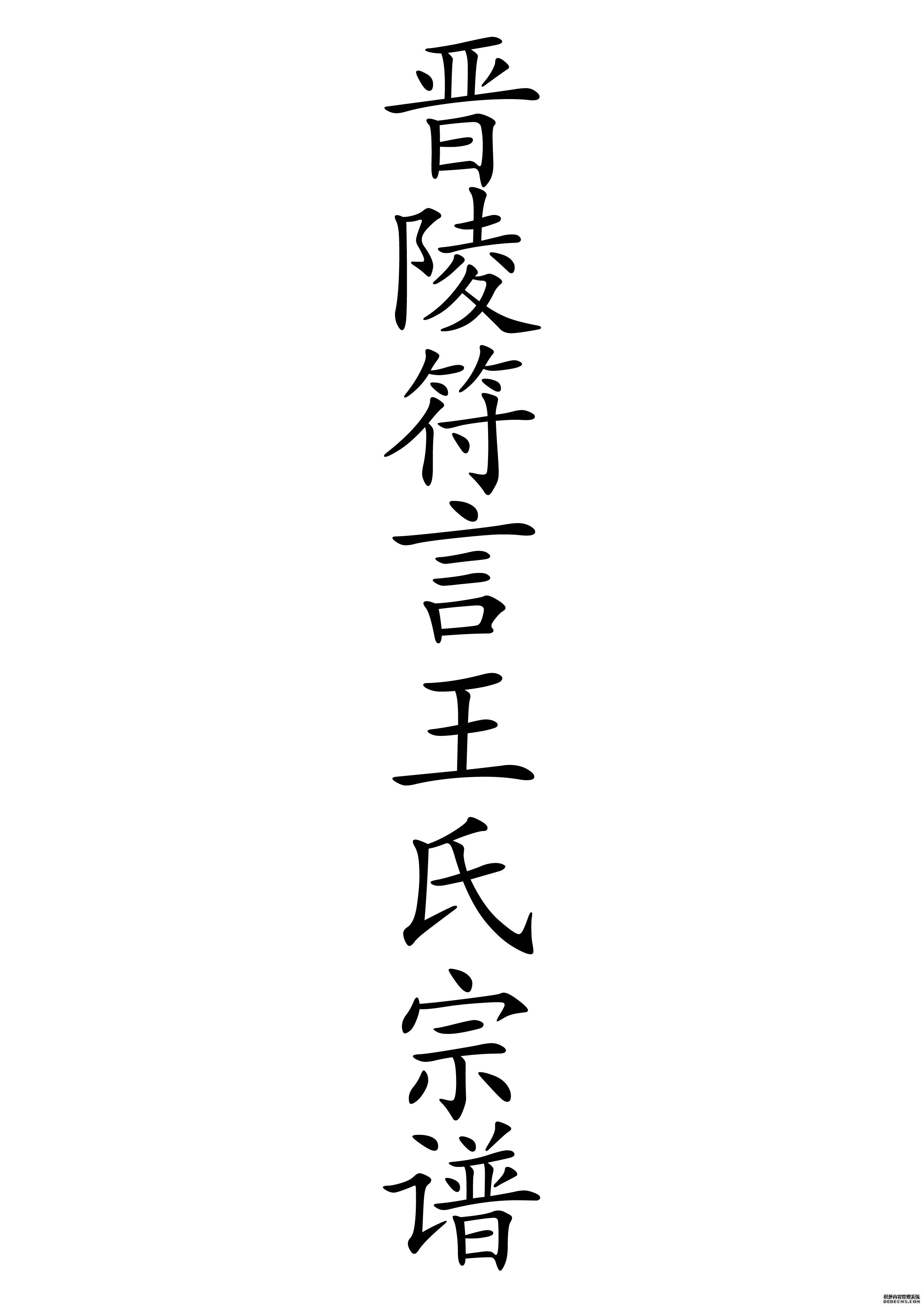 T-0031晋陵符言王氏宗谱