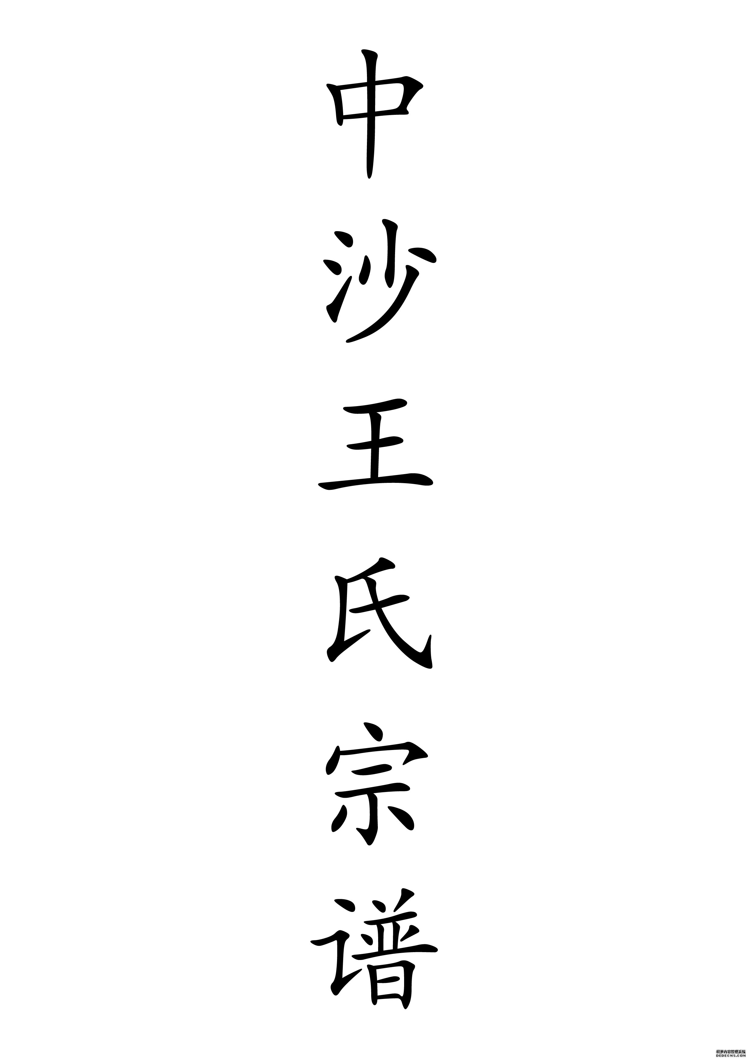 T-0033中沙阳湖礼嘉桥周陈支派支谱