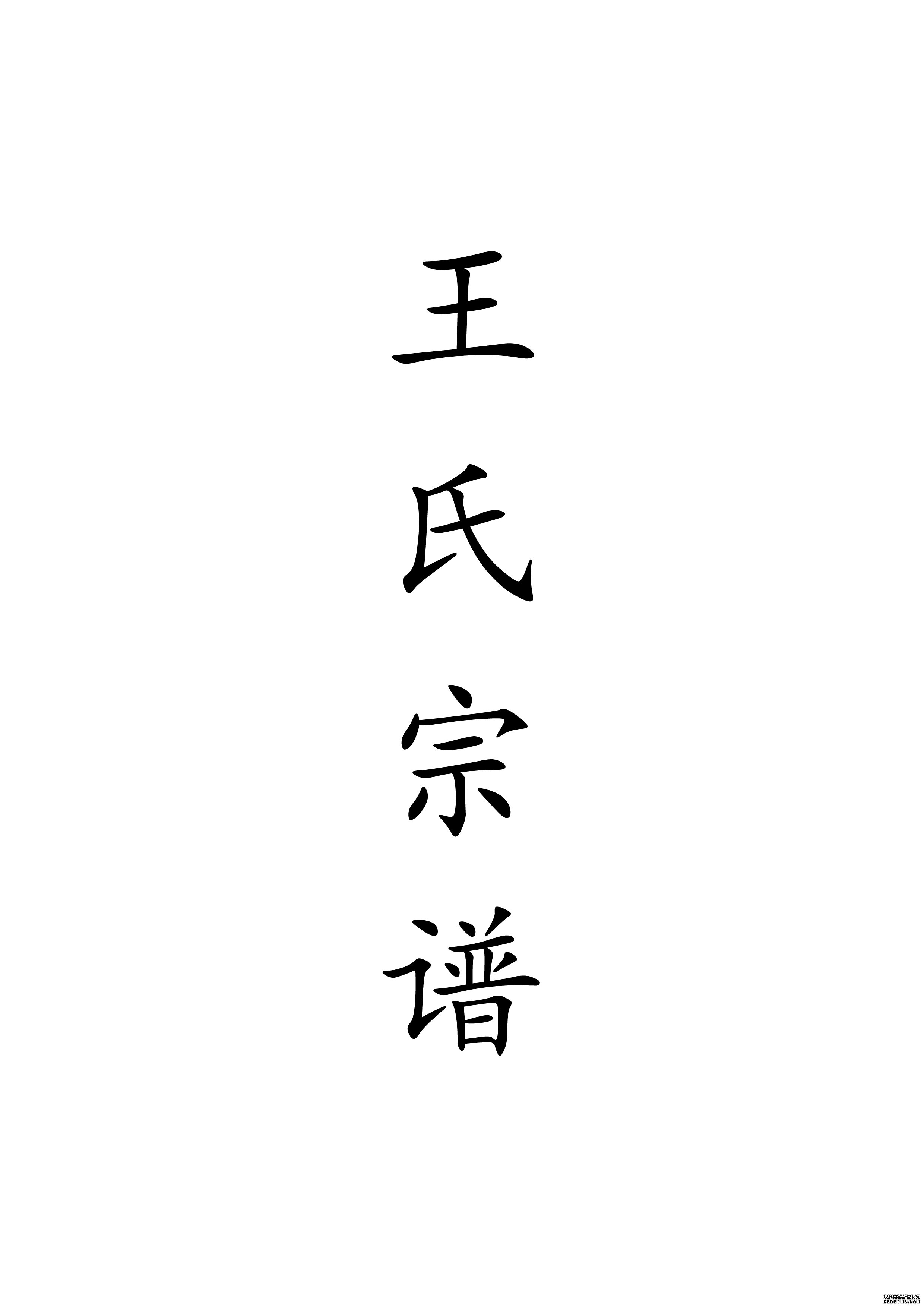 T-0035王氏宗谱