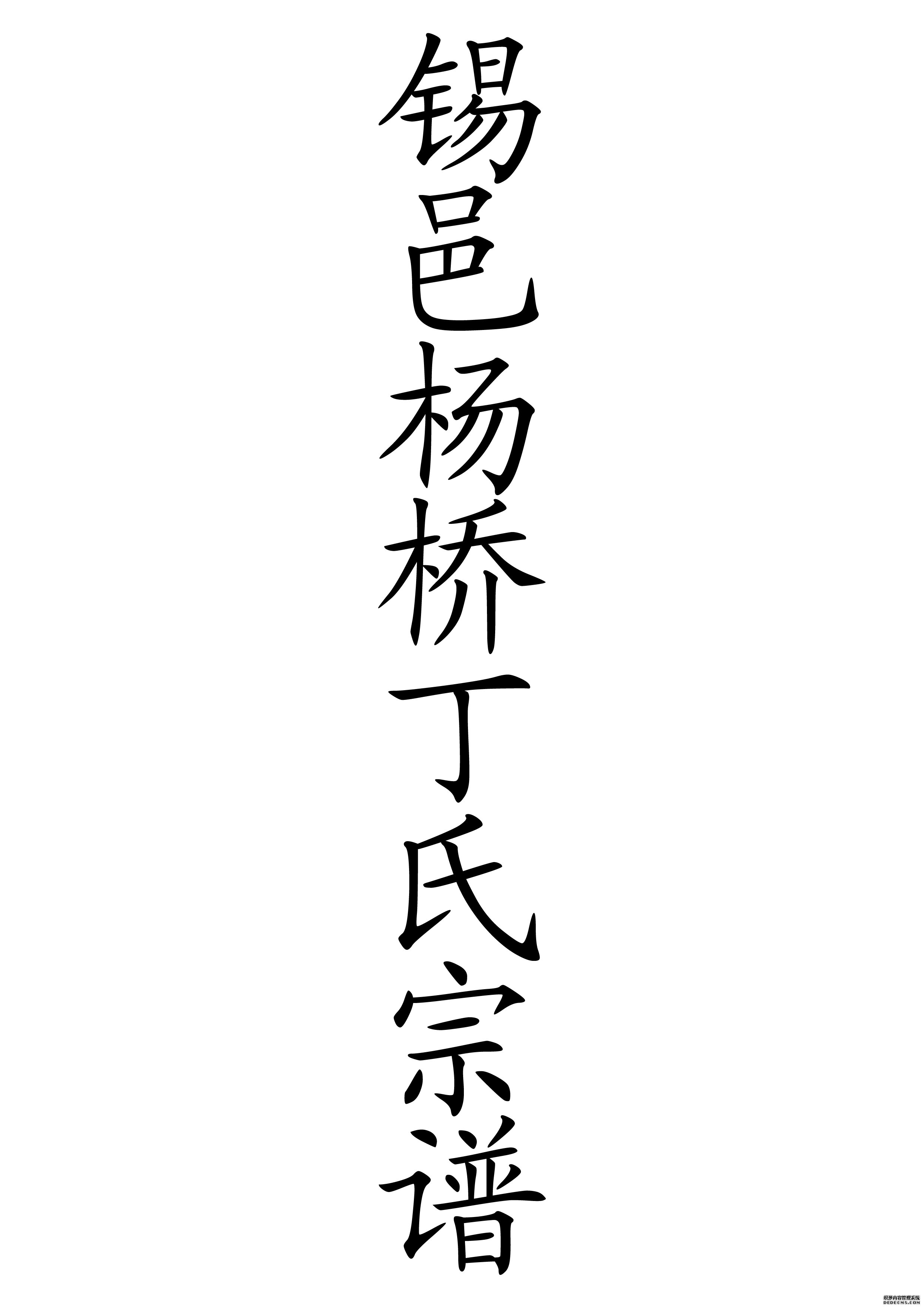 T-0010锡邑杨桥丁氏宗谱