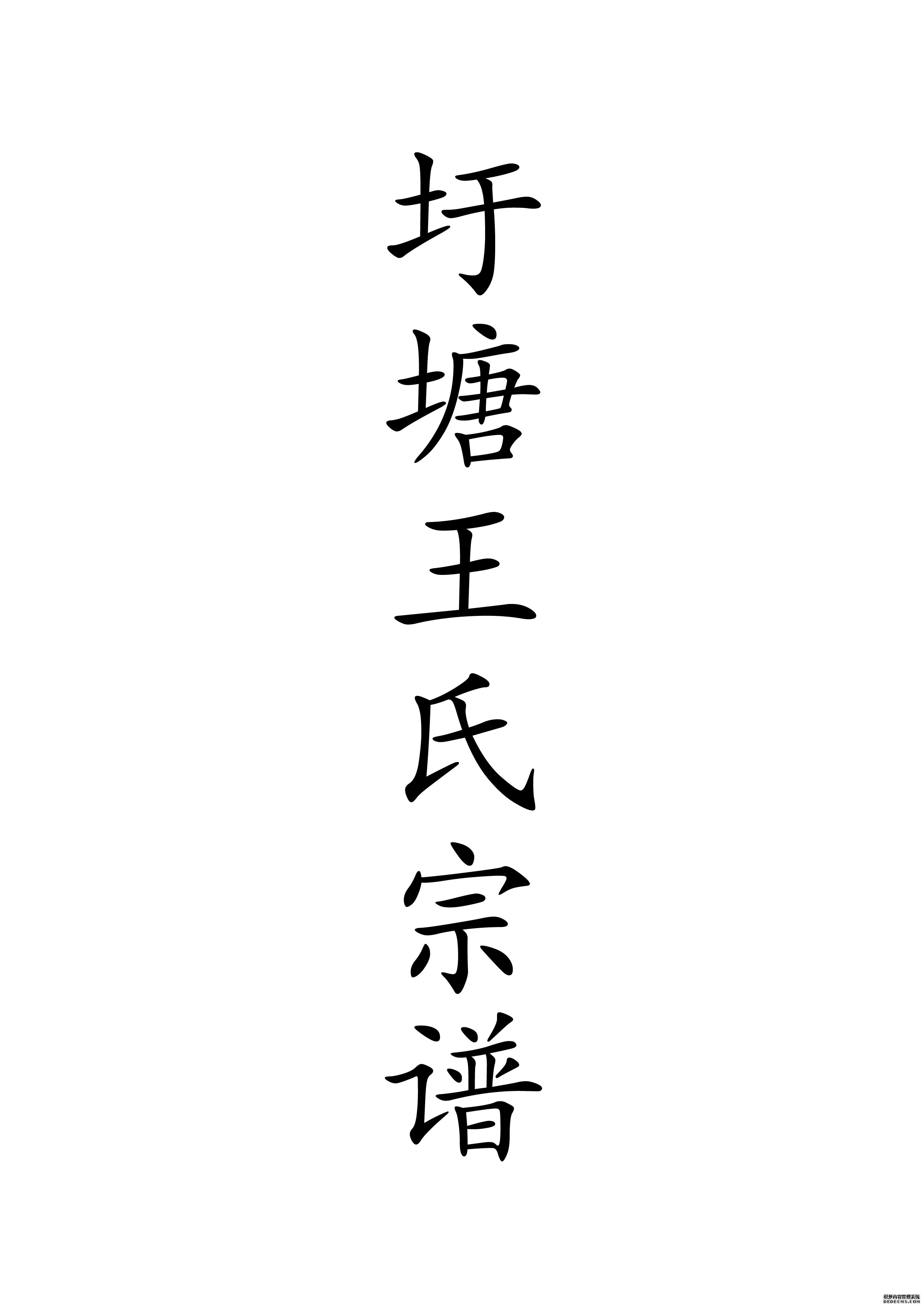 T-0040圩塘王氏宗谱