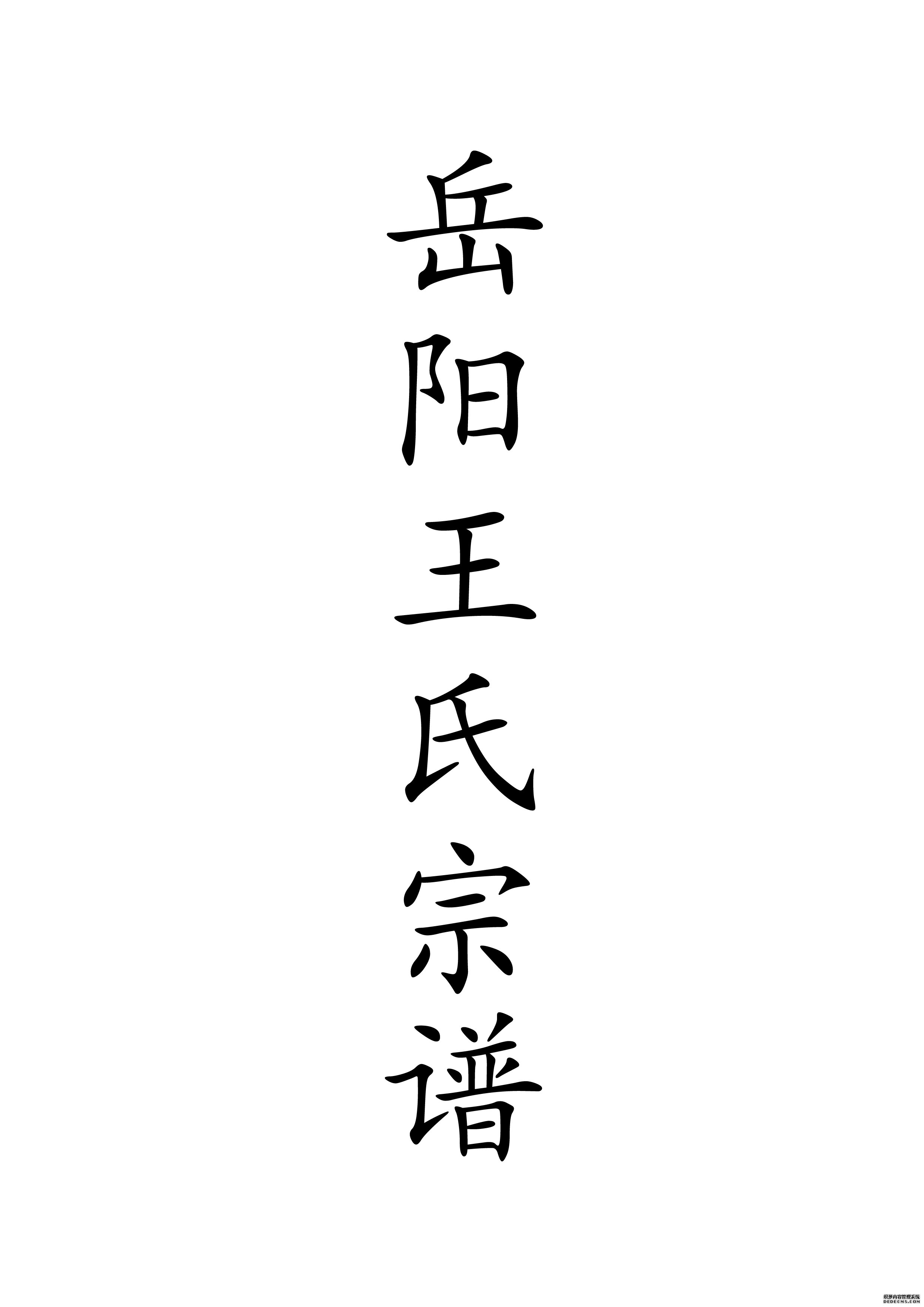 T-0041岳阳王氏宗谱