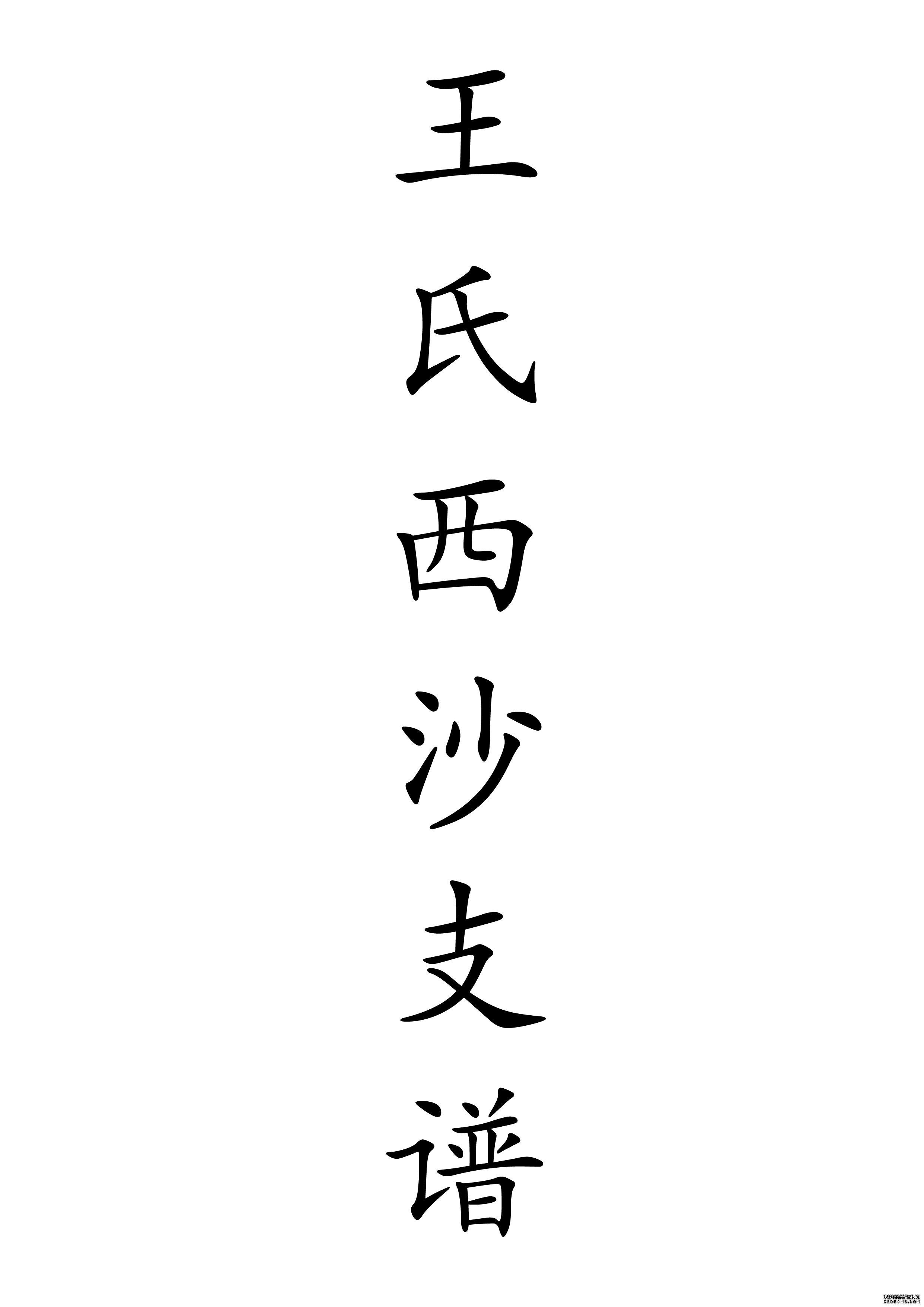 T-0045王氏西沙支谱